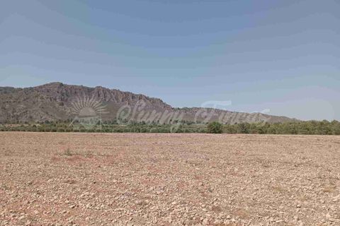 Helårsgrund i Yecla, Murcia, Yecla - € 39.000 | Ref: SF0472 - foto 8